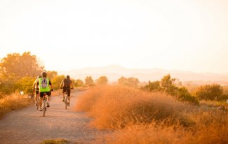 Radfahren beeinflusst PSA-Wert