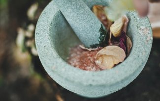 Differenzierte Bewertung von Phyto-Extrakten