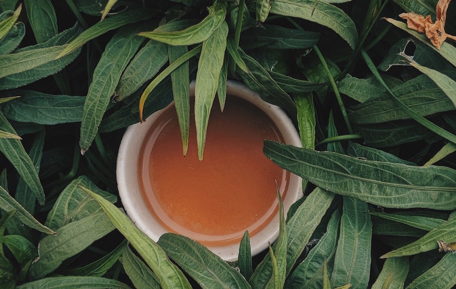 Verdeutlicht die Anwendung pflanzlicher Tees und Präparate bei Prostatabeschwerden