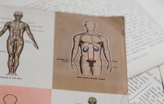 3 mögliche Ursachen für die gutartige Prostatavergrößerung
