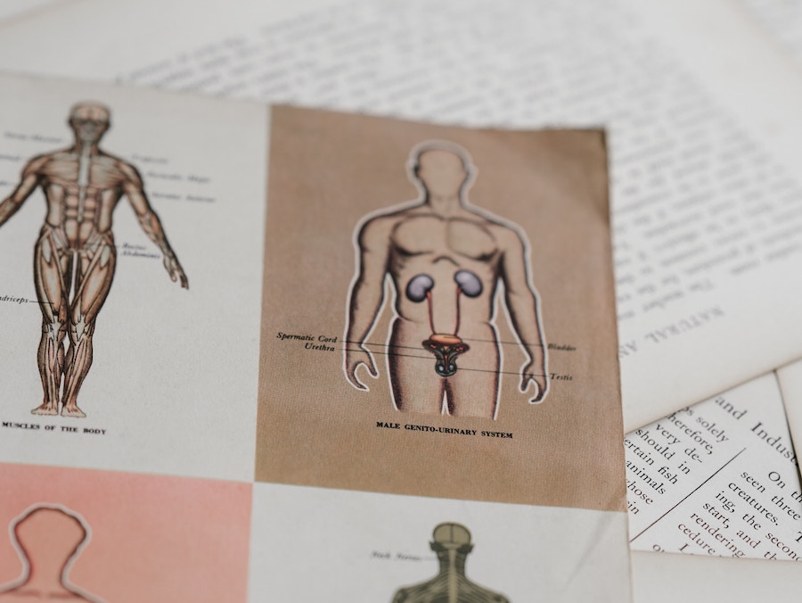 Medizinische Ursachen für Prostatavergroesserung